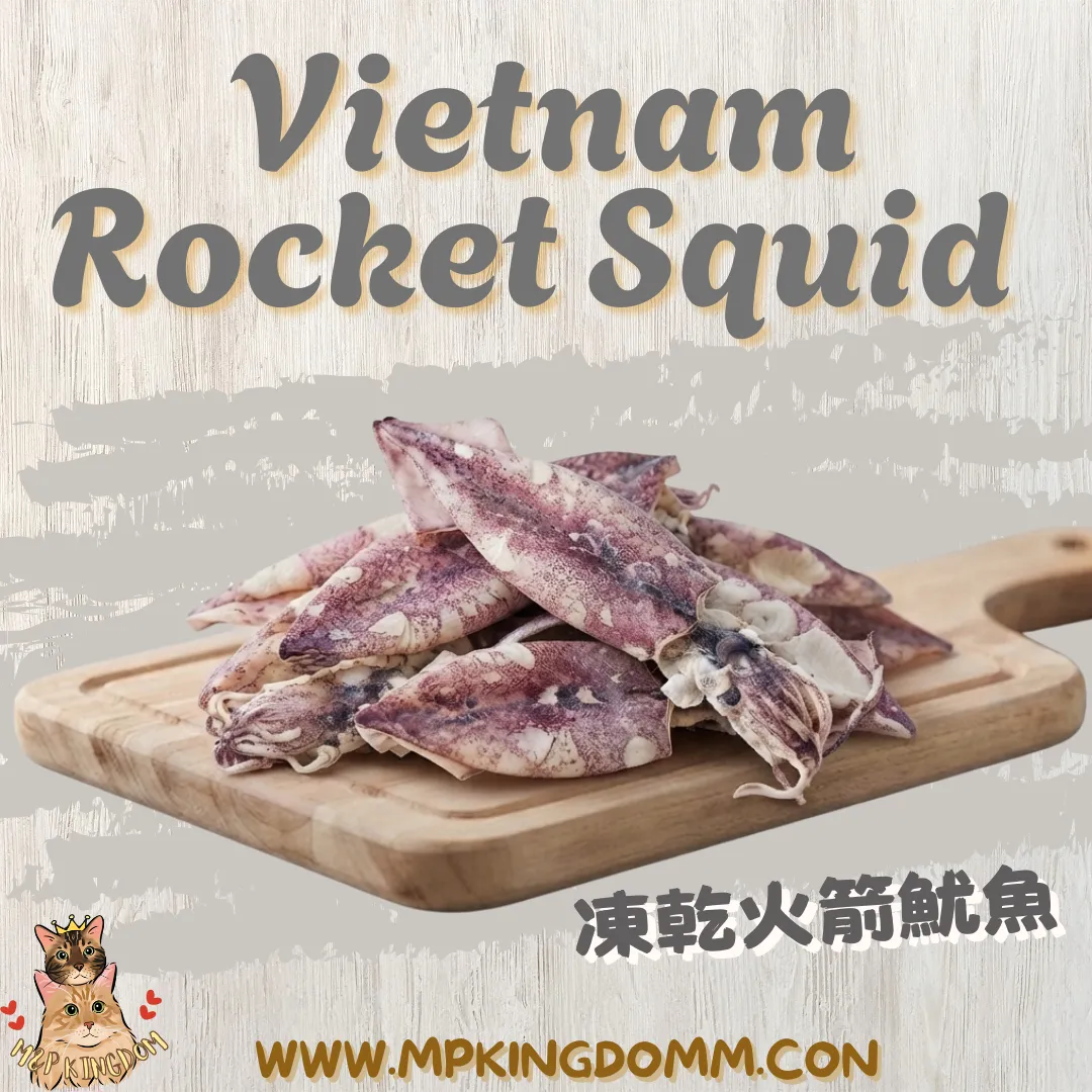 凍乾越南火箭魷魚🦑
