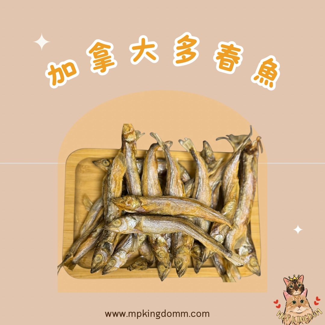 凍乾加拿大多春魚