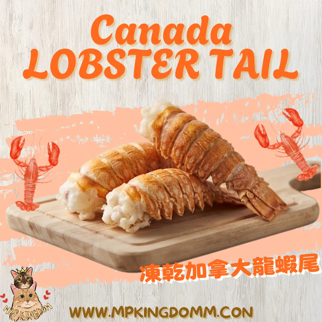 凍乾加拿大龍蝦尾🦞
