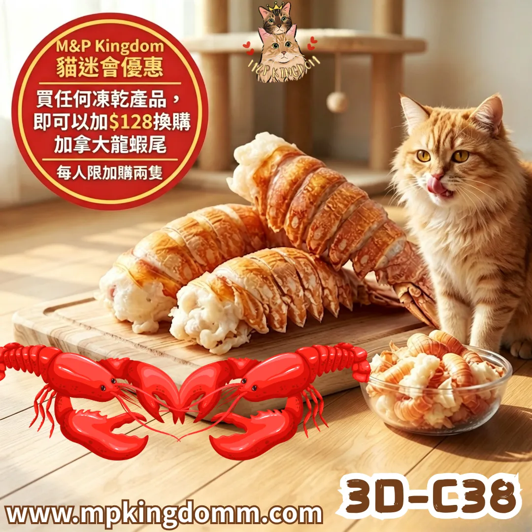 🚩加購產品🚩凍乾加拿大龍蝦尾🦞
