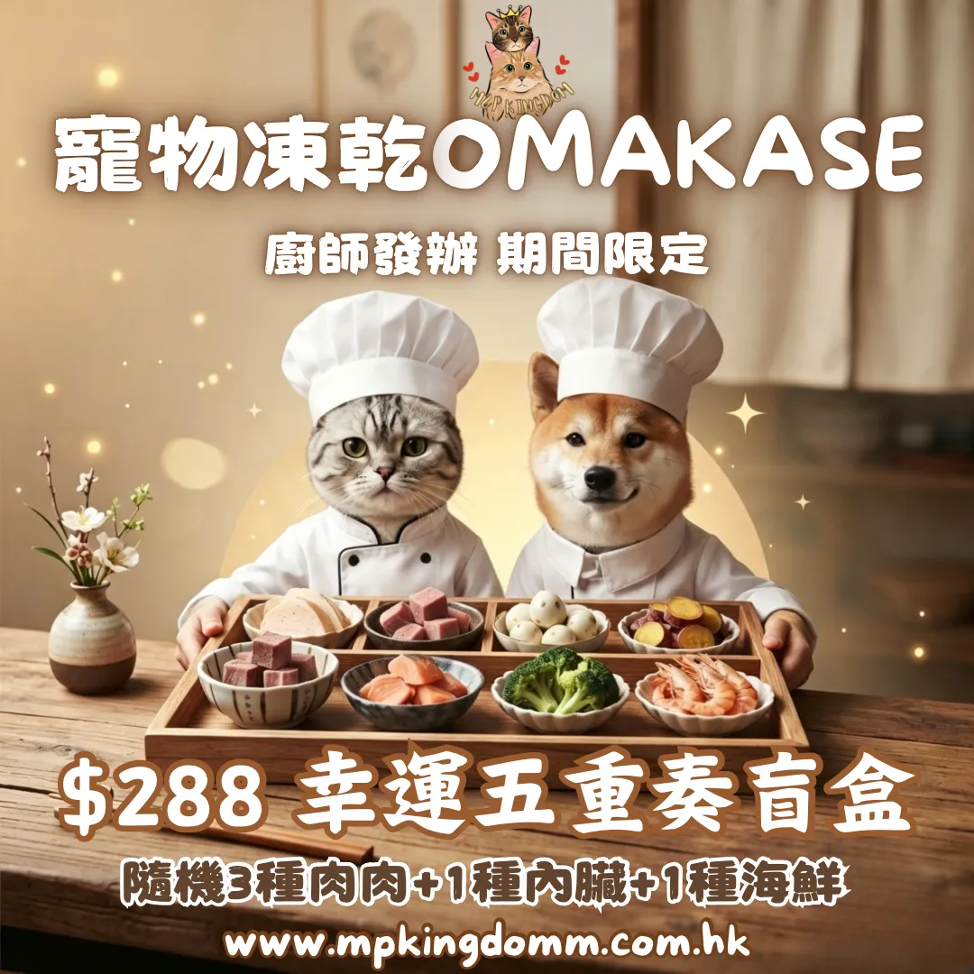 $288 幸運五重奏盲盒