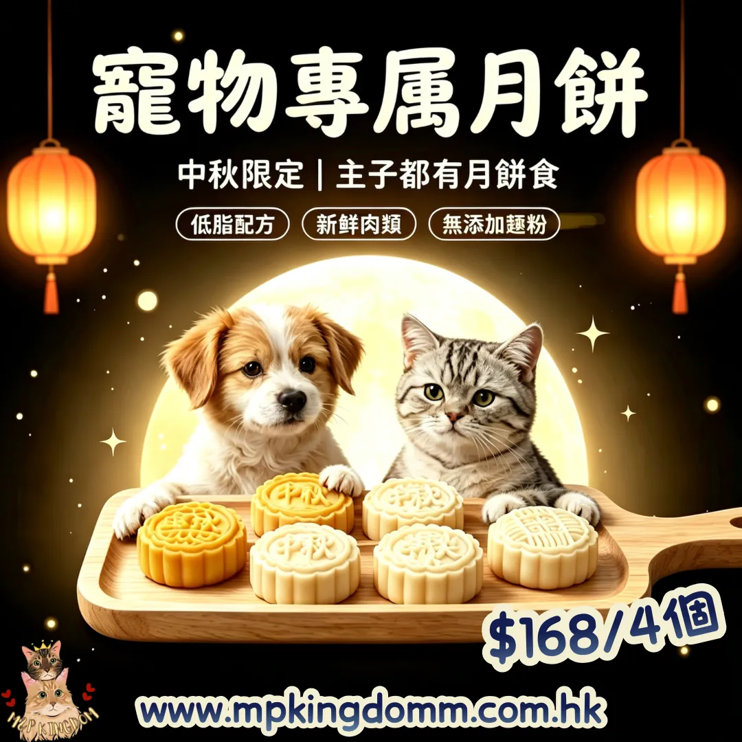 凍乾肉肉月餅🥮