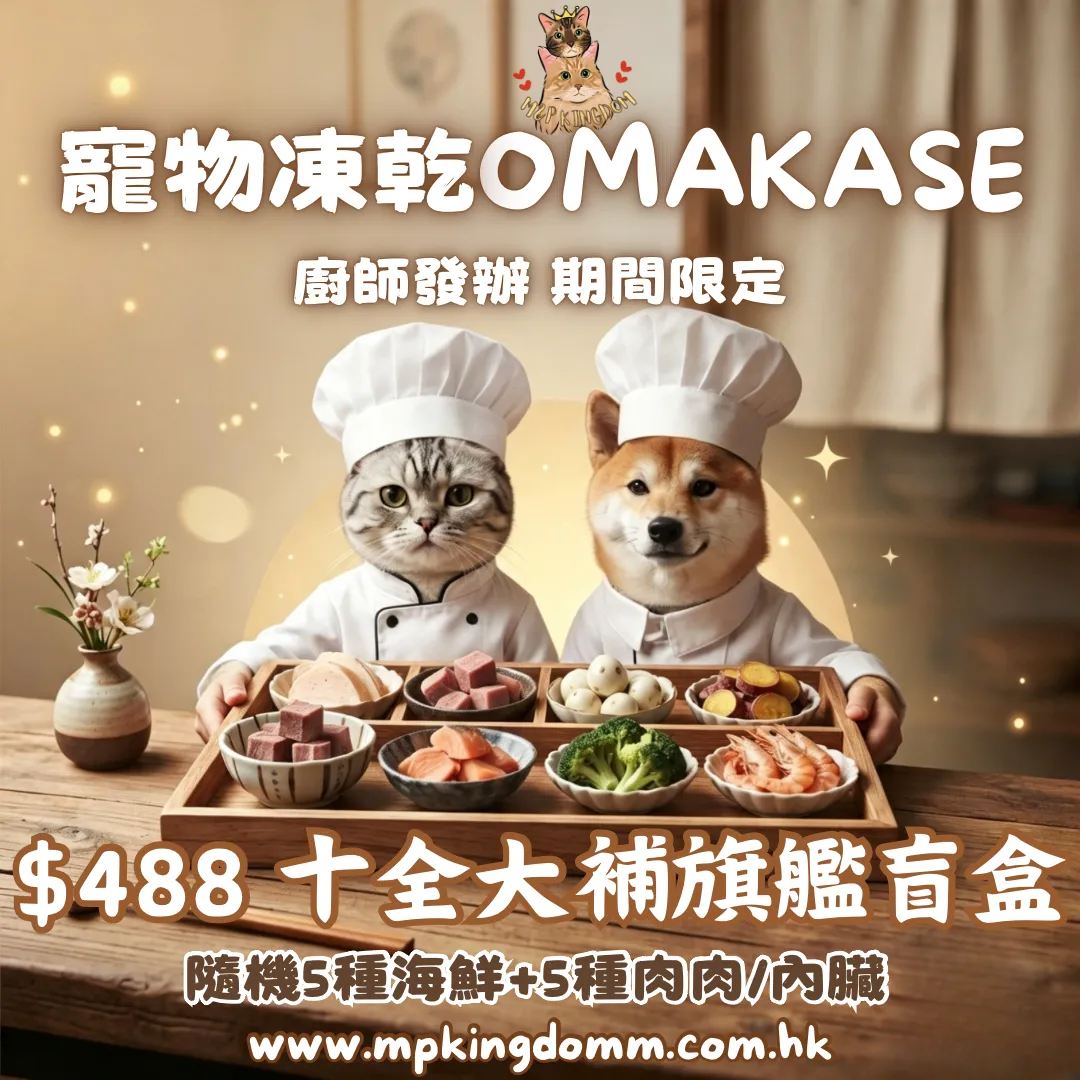 $488 十全大補旗艦盲盒